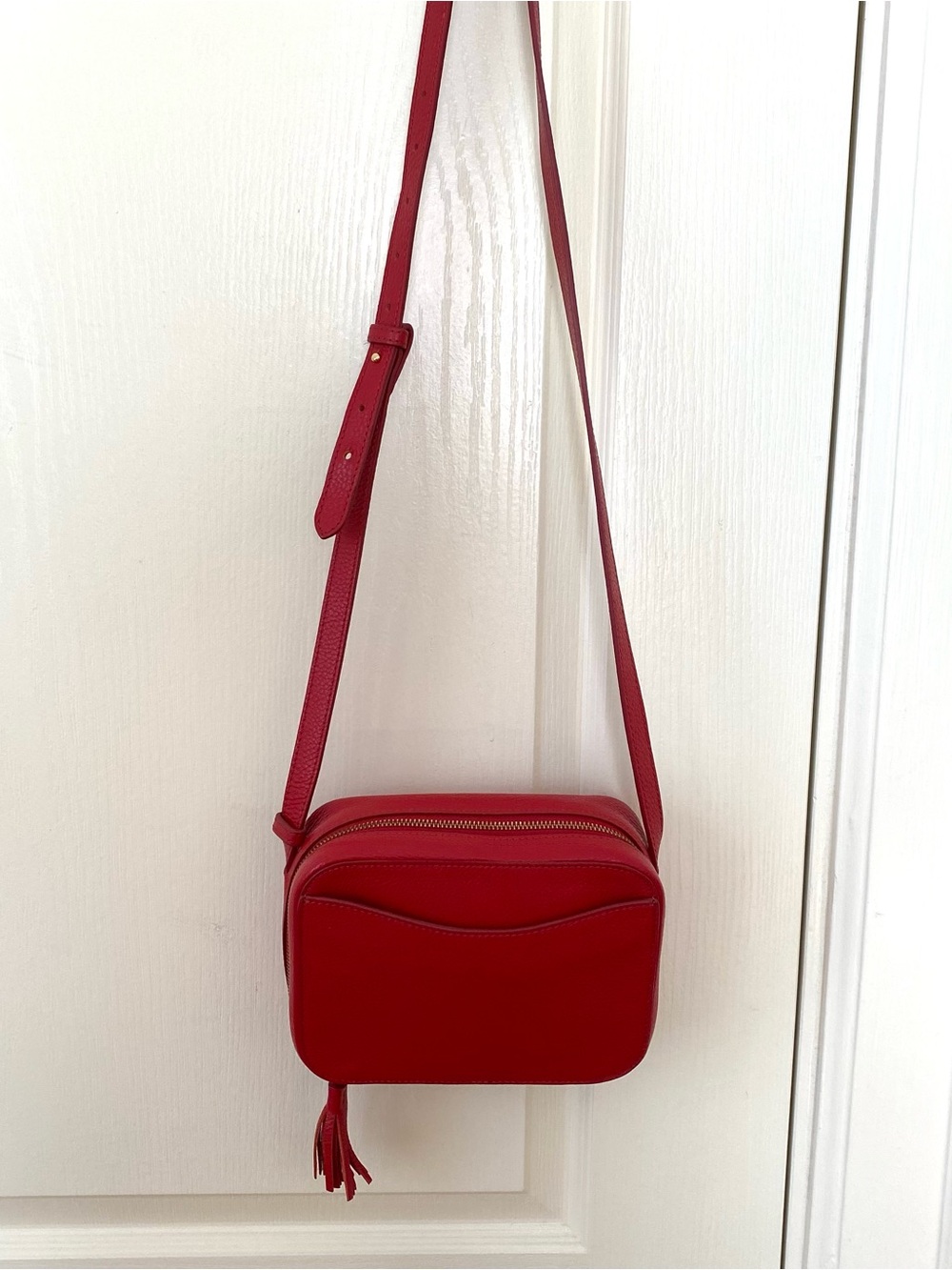 Cuyana Red Pebble Leather Tassel Adjustable Strap Crossbody Shoulder Camera Bag